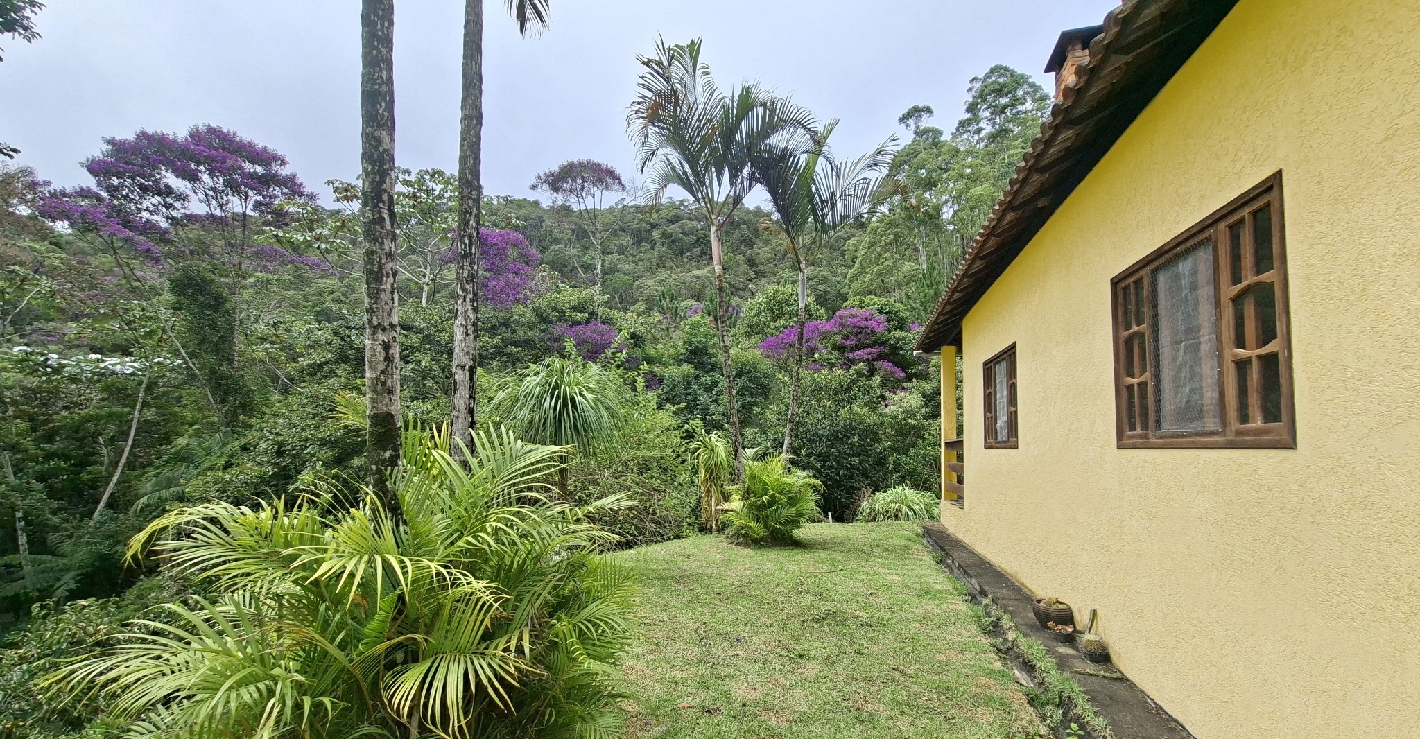 View across the Atlantic Forest and guest house at Santuário Jacupemba